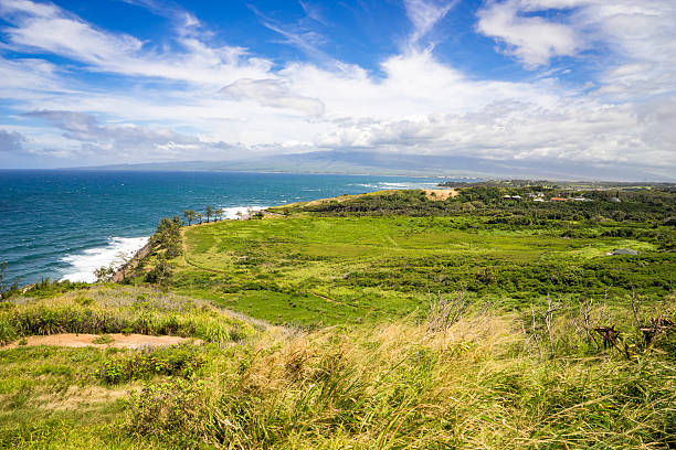 Dramatic coastline