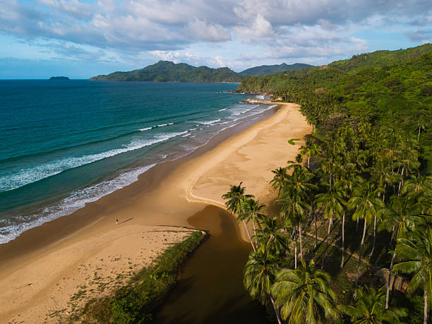 istock Aerial view of coconut palm tree grove on Palawan, Philippines 2207834111