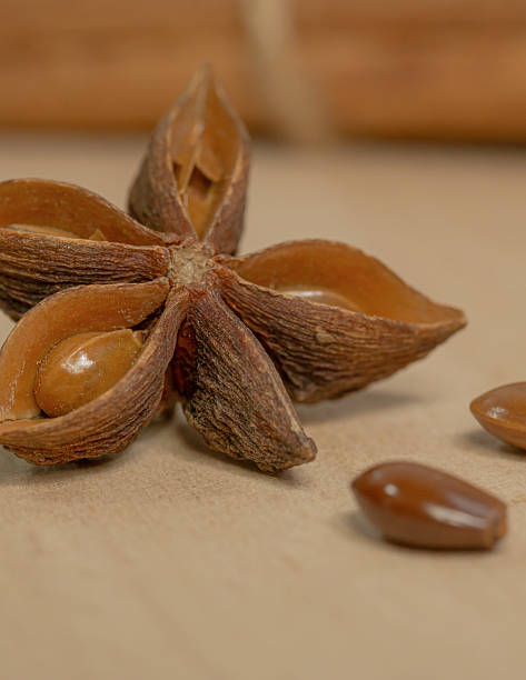 istock A close-up of a star anise 2207836831