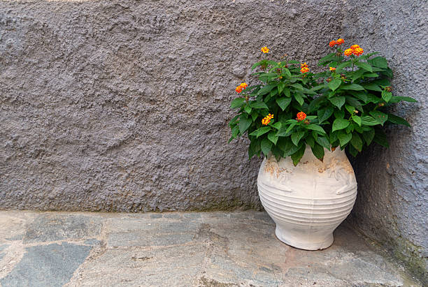 Old amphora with flowers in Greece