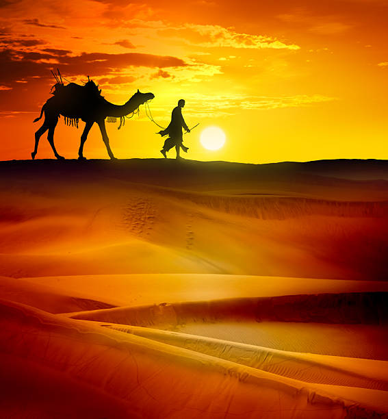 Bedouin in camel caravan walking through desert at beautiful sunset
