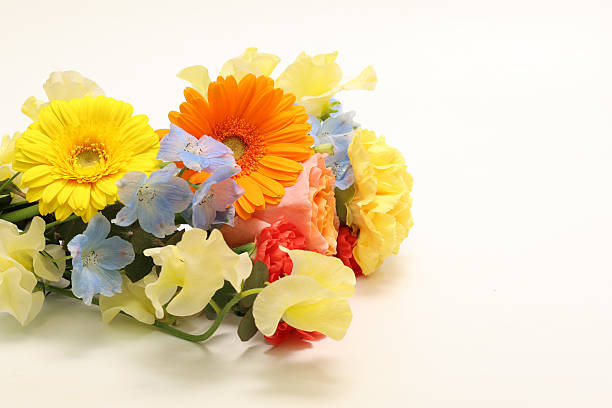 Background. Bouquet of flowers close-up on a white background illuminated by yellow, soft light. White and pink roses, blue-white eustoma. Place for text.