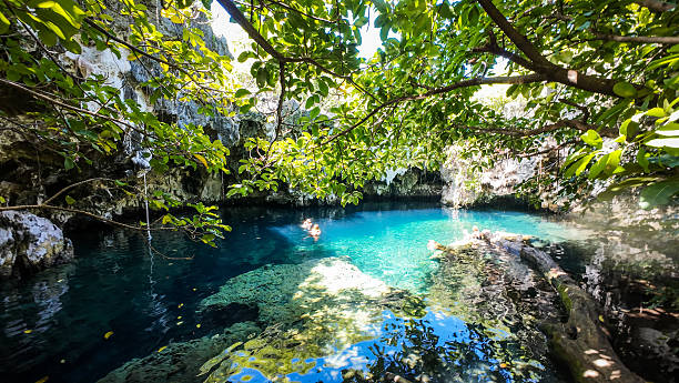 istock Maalum Lagoon in Paje, Zanzibar 2207850266
