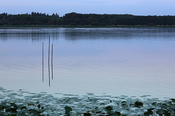 Landscape of Lac De Grand Lieu, Loire valley, Brittany, France