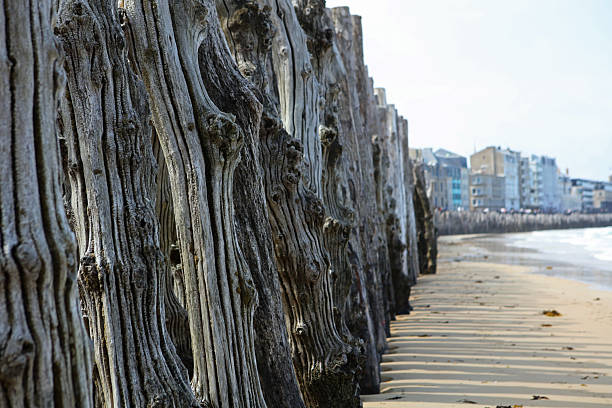 Breakwater on Hoguette Beach in Saint Malo, Brittany, France