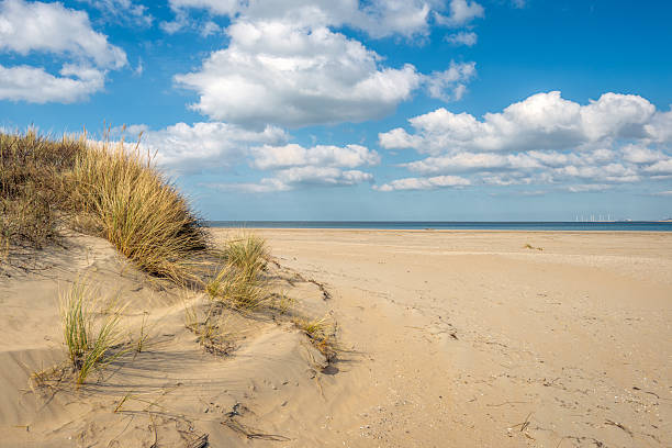 istock Quiet beach on a sunny day at the end of winter 2207854504