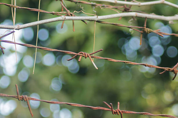 Close up of Barbed Wire wit a Blur Background