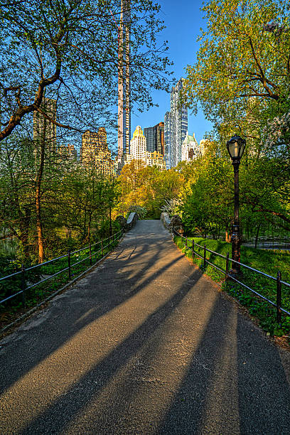 istock Gapstow Bridge in Central Park, early spring 2207860279
