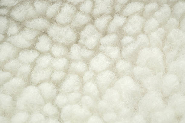 istock Wool plush fleece fur fabric texture background 2207862822