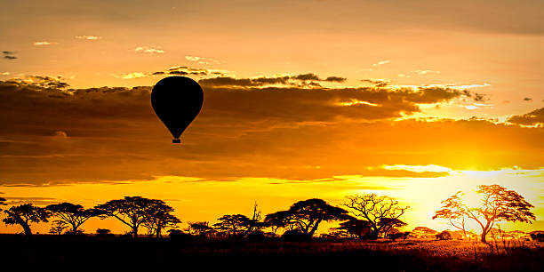 istock Early morning balloon flight 2207862911