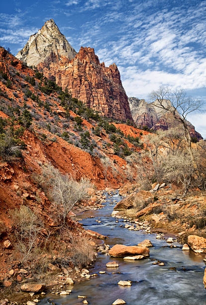 The last light fades from view in the valley of Zion National Park along the Virgin River. As the sunset, gray clouds move into the area over the oasis in the southwest United States desert.