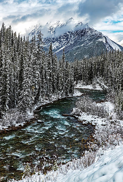 istock River flowing through frozen Canadian landscape 2207865317