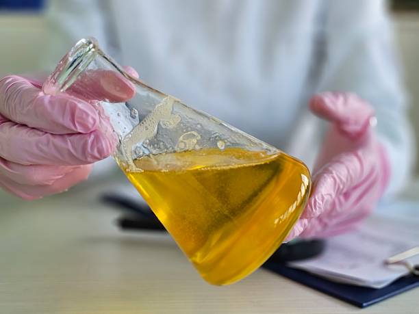 istock Laboratory experiment with yellow liquid in a glass flask held by a scientist wearing gloves concept 2207872461