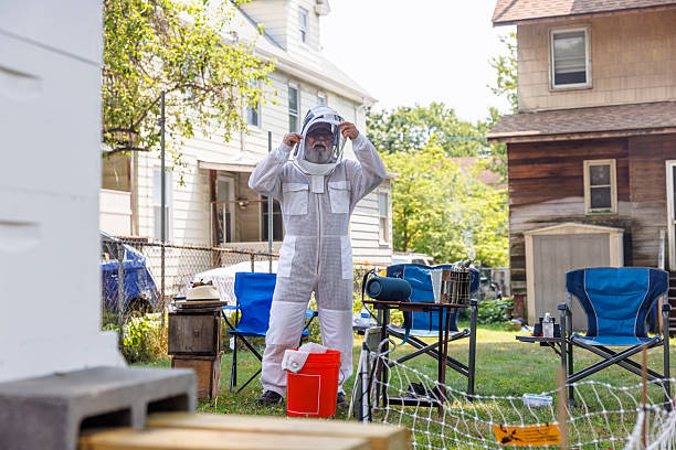 istock Old Latino apiarist preparing for hive inspection. Beekeeper dons protective gear in residential backyard apiary. 2207874207