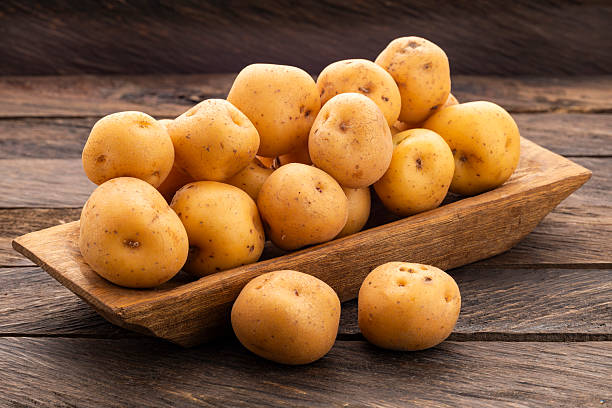 istock Organic yellow criolla potato - Solanum phureja. 2207877582