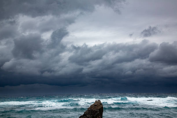 Amami Oshima's creative nature, ocean and waves