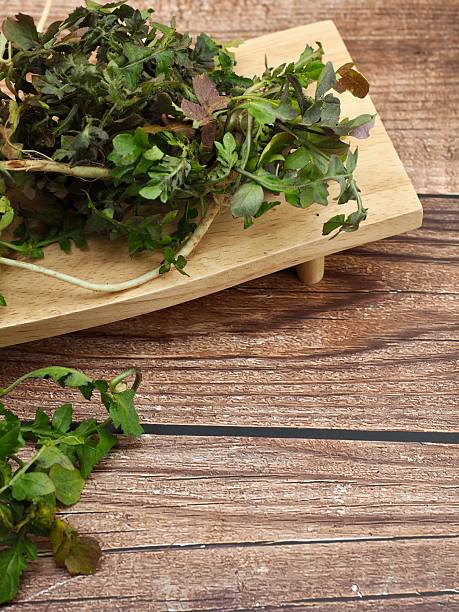 istock Korean food ingredients Capsella bursa-pastoris, Shepherd's purse 2207883264