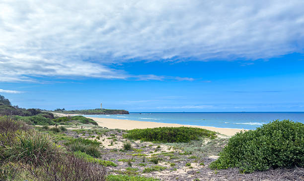 istock City Beach in Wollongong 2207887489