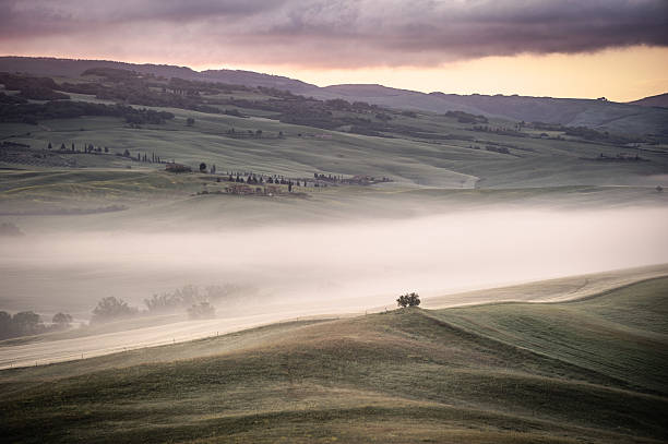 istock Misty Tuscan Landscape with Hills and Tree - Val d’Orcia 2207889922