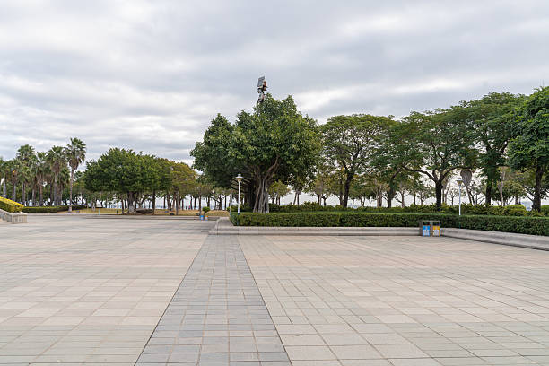 The stone square and green plants in the park