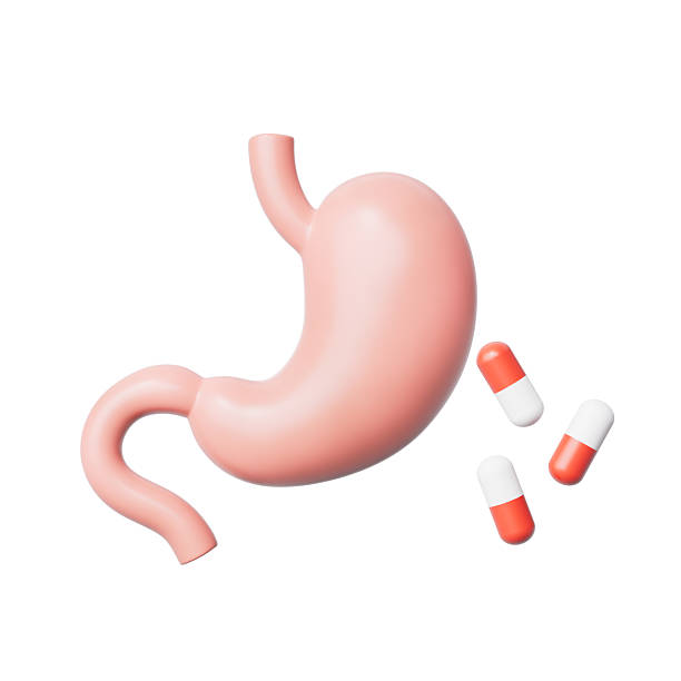 istock 3d rendering medical stomach and capsule in white background 2207900601