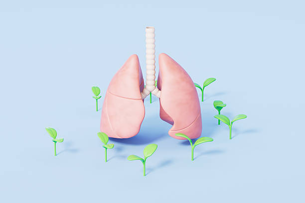 istock 3d rendering medical lungs in blue background 2207900619