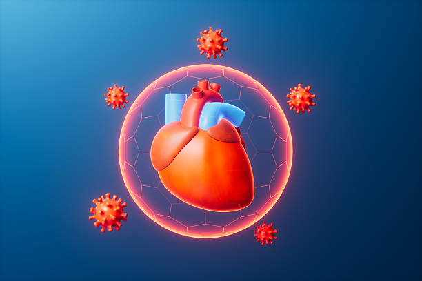istock 3d rendering medical heart and virus in blue background 2207900935