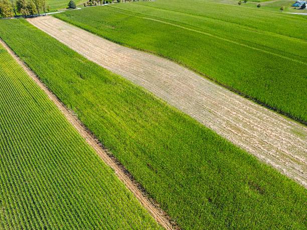 istock Aerial View of Green Agricultural Fields 2207902824