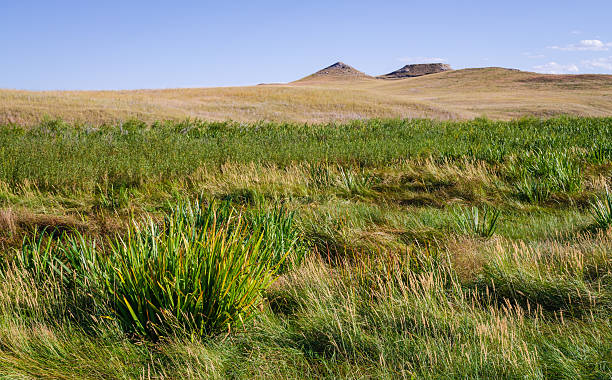 istock Meadows and Fields at Agate Fossil Beds National Monument 2207906299