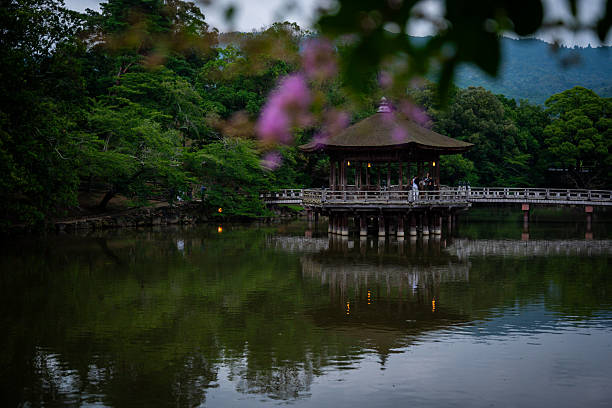 Ukimido pavilion surrounded by trees and reflected in the water of Nara Park in evening light.