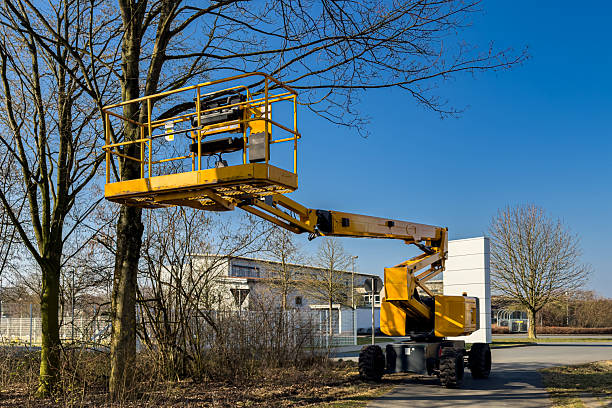 istock Yellow aerial lift working on trees in a clear blue sky 2207909932