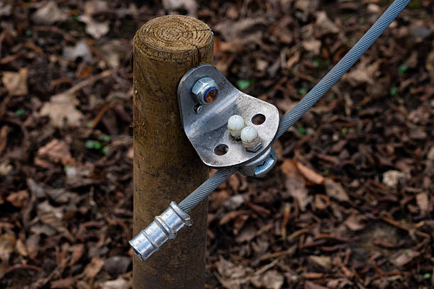 A sturdy metal cable connector is fastened to a wooden post. Surrounding the post is a bed of dried leaves, indicating an outdoor environment. The setting suggests a functional or recreational area.