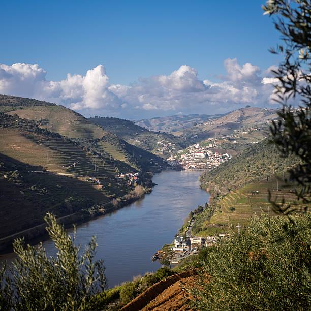 istock Scenic Douro Valley with River and Vineyards 2207912902