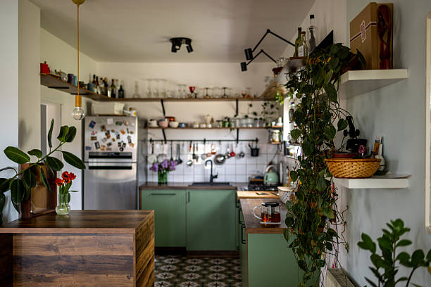 istock Cozy green kitchen interior with open shelving and hanging plants displaying a modern rustic style 2207915017