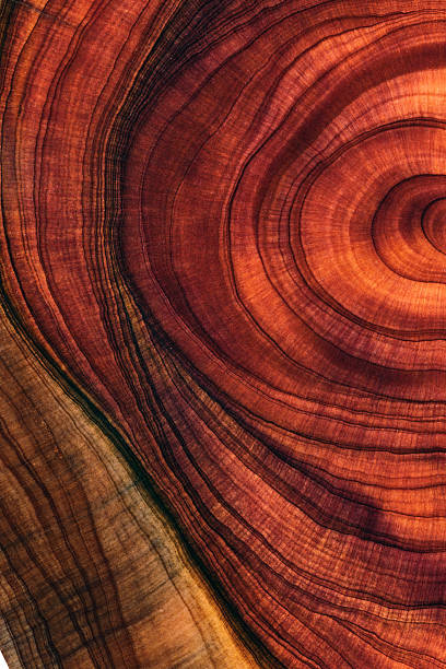istock Full frame shot of wooden floor 2207915662