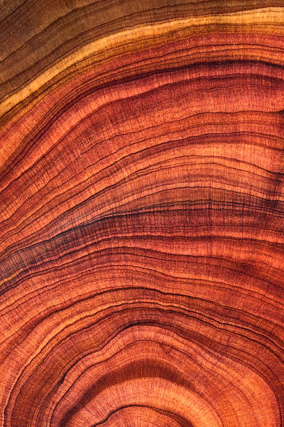 istock Wood plank to use as background and texture. 2207915728