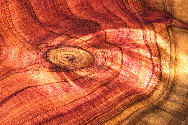 istock Wood plank to use as background and texture. 2207915731