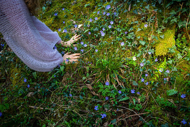 Child holding a small bouquet of purple wildflowers