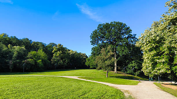 istock spring in the city park in bright sunny day 2207923118