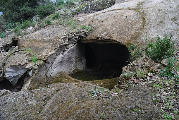 istock The menhir of Parco Mariani 2207924828