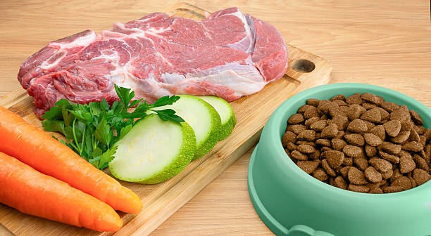 istock Food for dogs. 2207928250