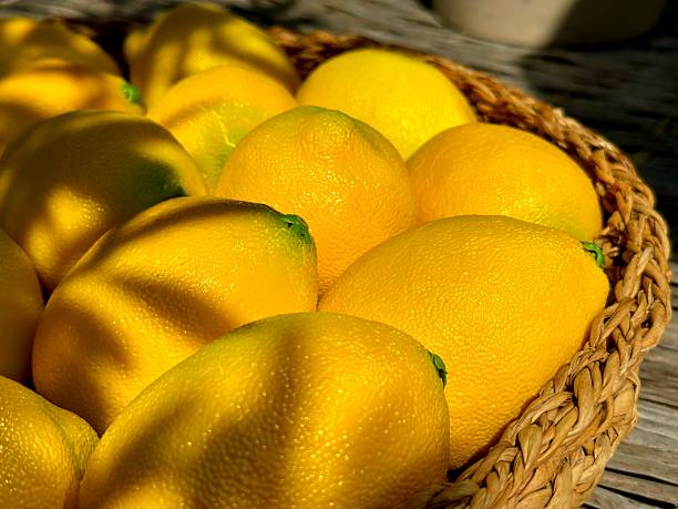 Lemons ripe yellow citrus fruits