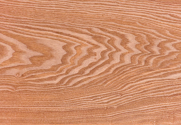 background  nature detail of teak wood texture decorative furniture , Xylia xylocarpa Taub