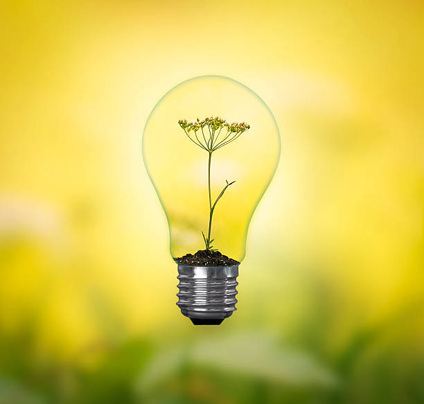 Clean energy. Respect for nature. Caring for nature