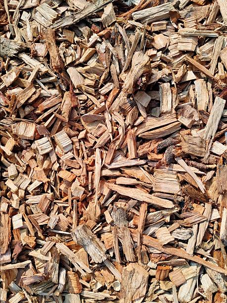 Abandoned and recycled log wood chips