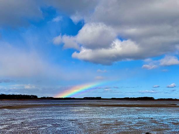 istock A rainbow arching over mud flats in Northumberland 2207935247
