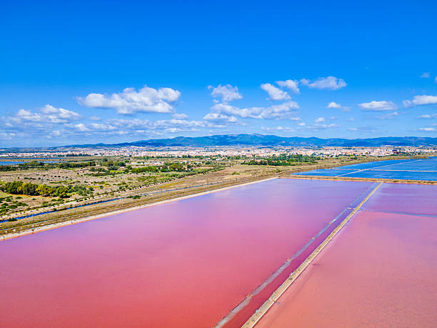 istock Molentargius - Saline Regional Park in Cagliari (Sardinia, Italy) 2207942039