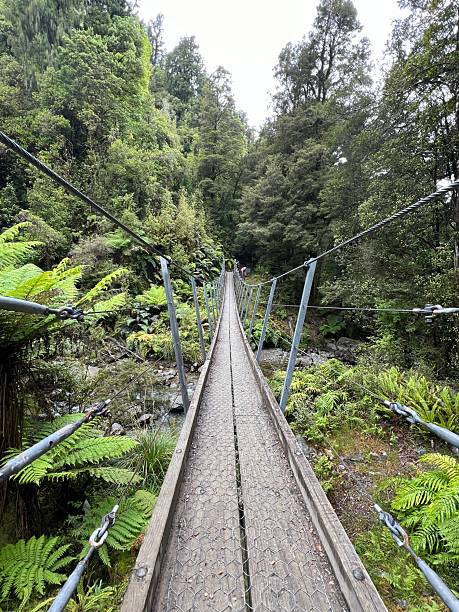 istock New Zealand 2207946542