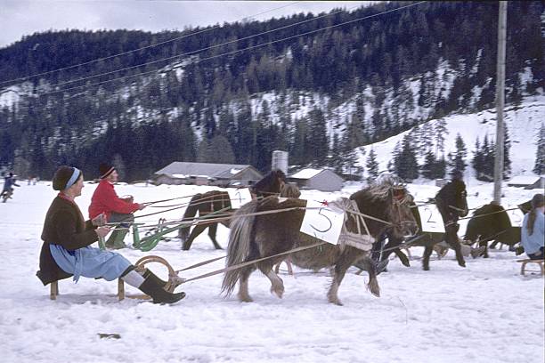 Austria (exact location unknown), 1960. Sleigh race with pony team in the Alps. Furthermore: participants.