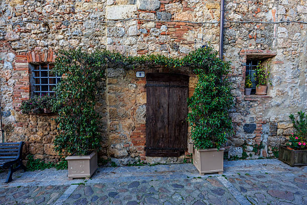 A charming rustic door with greenery and stone wall in a quaint village street.
